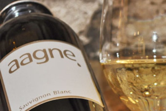 1 Kachel_Aagne_Wein_1